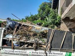 Best Hoarding Cleanup  in Kotzebue, AK