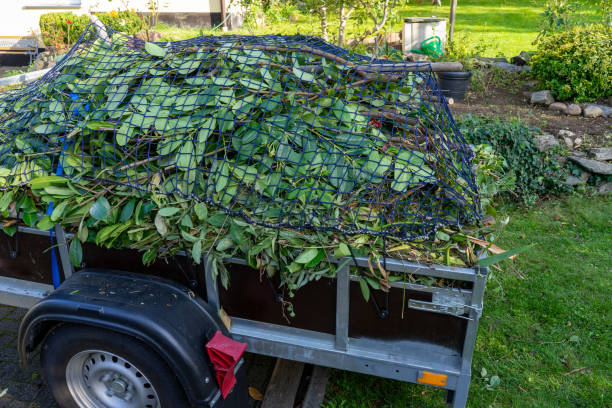 Best Commercial Junk Removal  in Kotzebue, AK